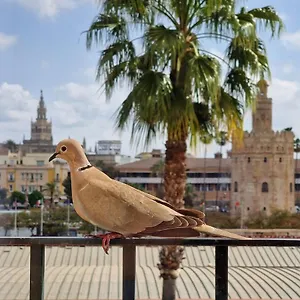 Сasa de vacaciones Betis Del Oro, Sevilla